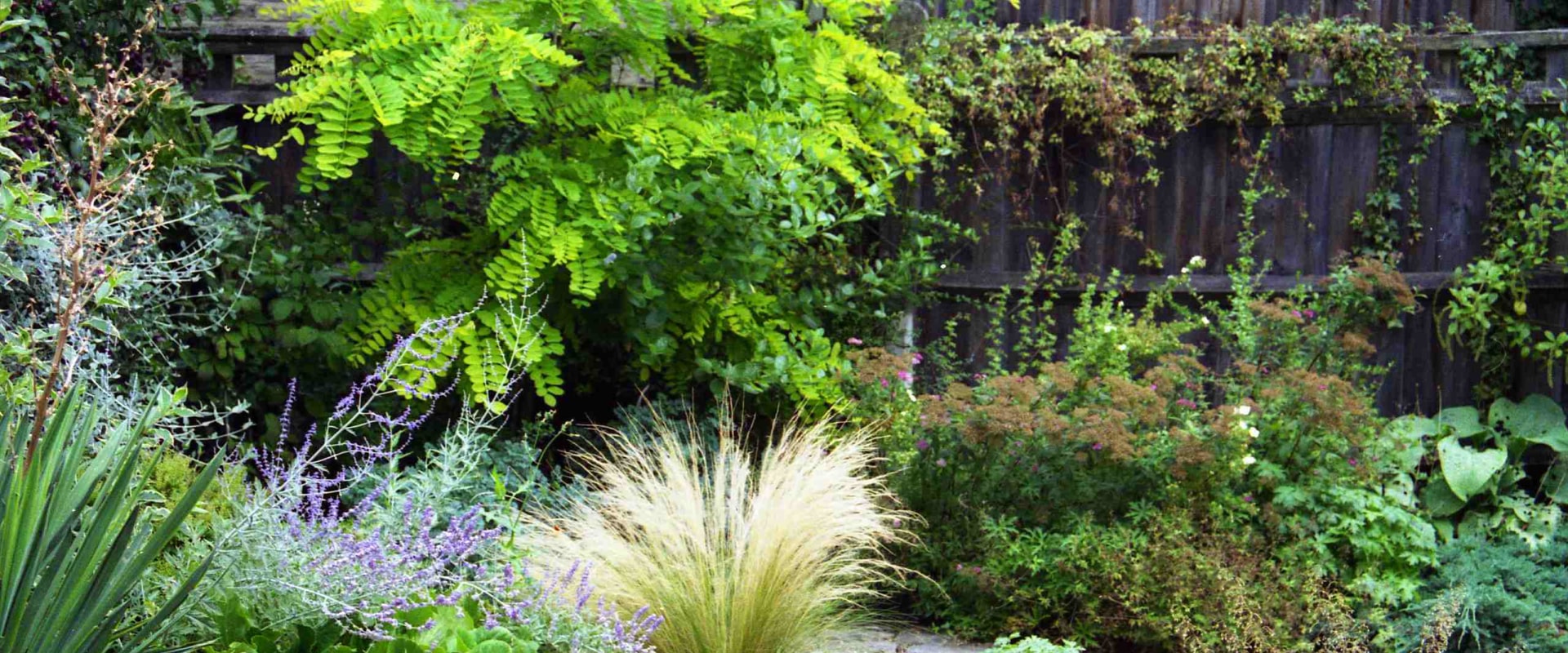 Creating a Drought-Resistant Landscape: Tips and Tricks for a Green Home Design