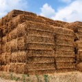 A Sustainable and Eco-Friendly Guide to Straw Bale Construction