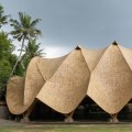 The Versatility of Bamboo in Sustainable Building and Roofing