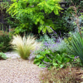 Creating a Drought-Resistant Landscape: Tips and Tricks for a Green Home Design